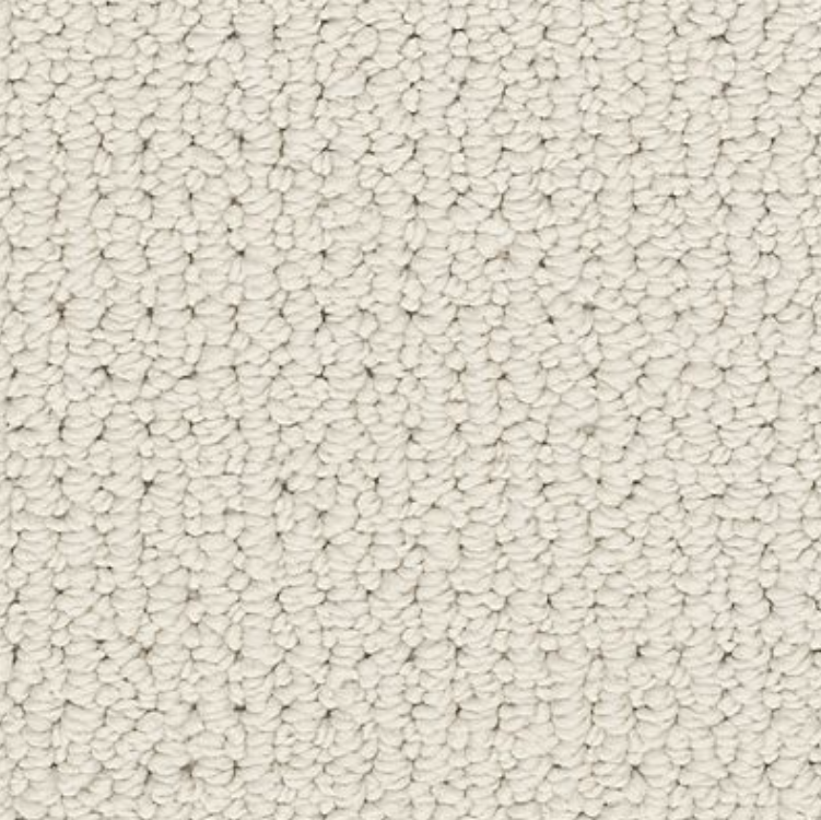 Graceful Transition carpet in Hazy Skies colour available in stock
