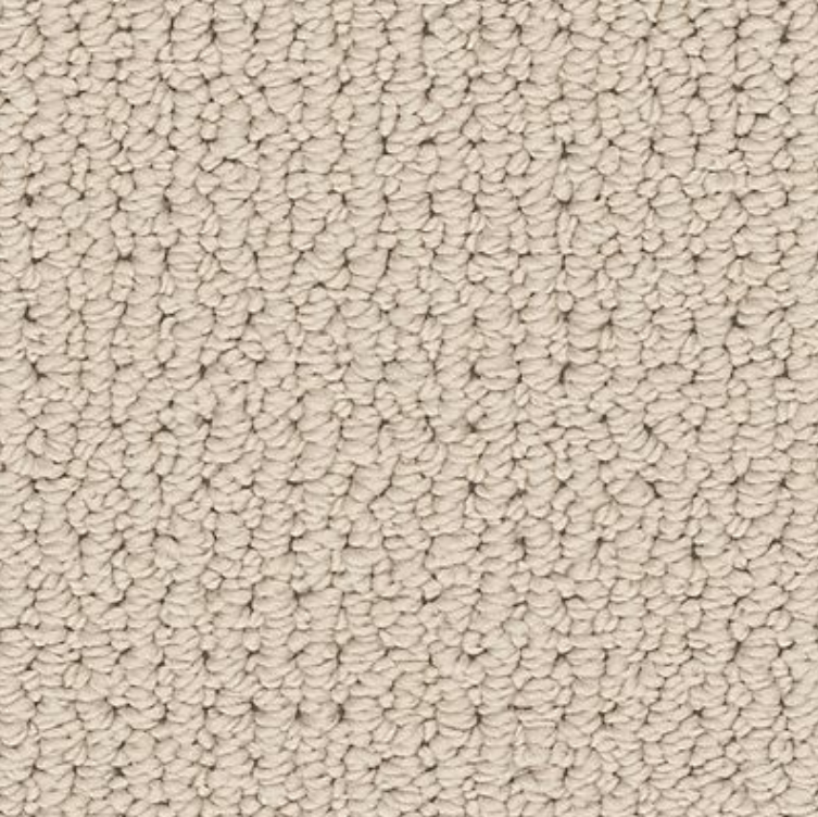 Graceful Transition carpet in Nougat colour available in stock