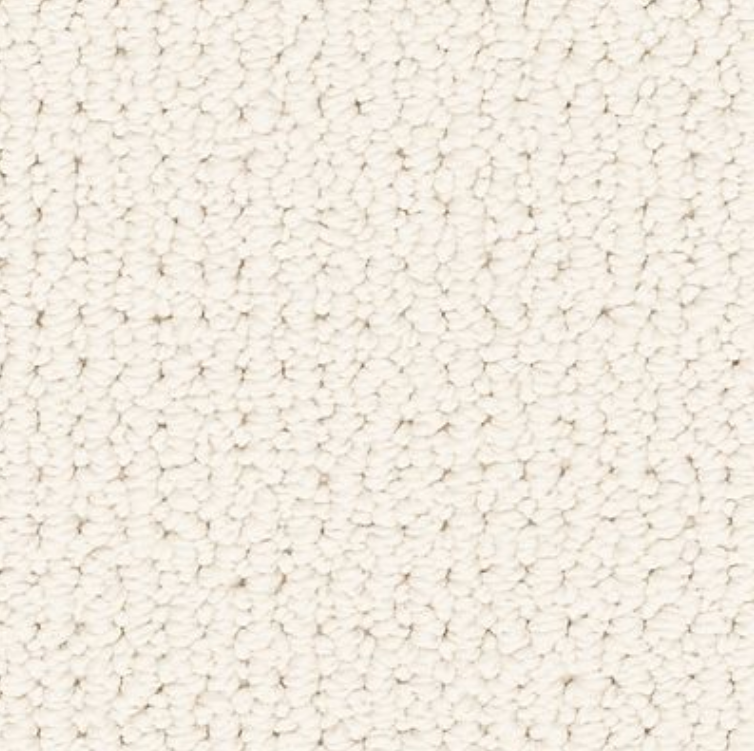 Graceful Transition carpet in Pearl colour available in stock
