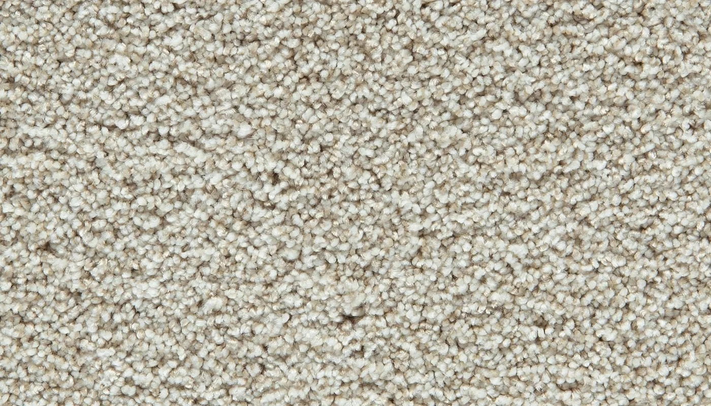 Cozy Companion II carpet in Frosted Almond colour available in stock