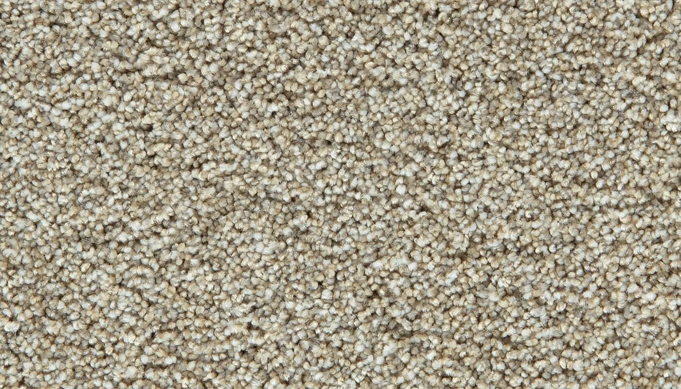 Cozy Companion II carpet in Ivory colour available in stock