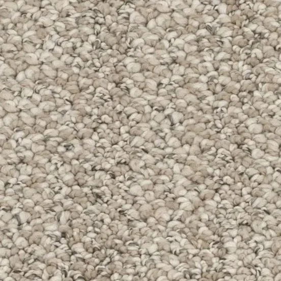 In Tempo carpet in Canvas colour available in stock