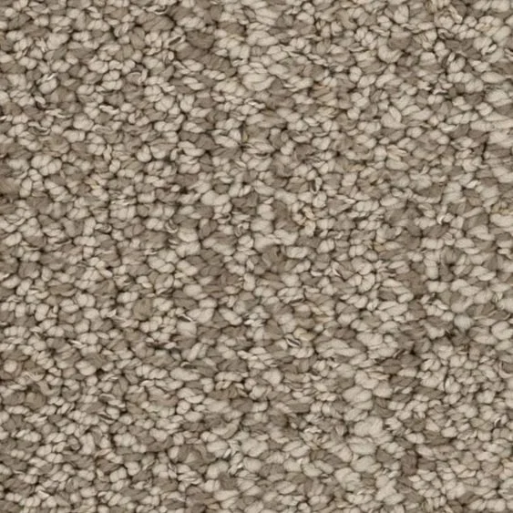 In Tempo carpet in Dunes colour available in stock